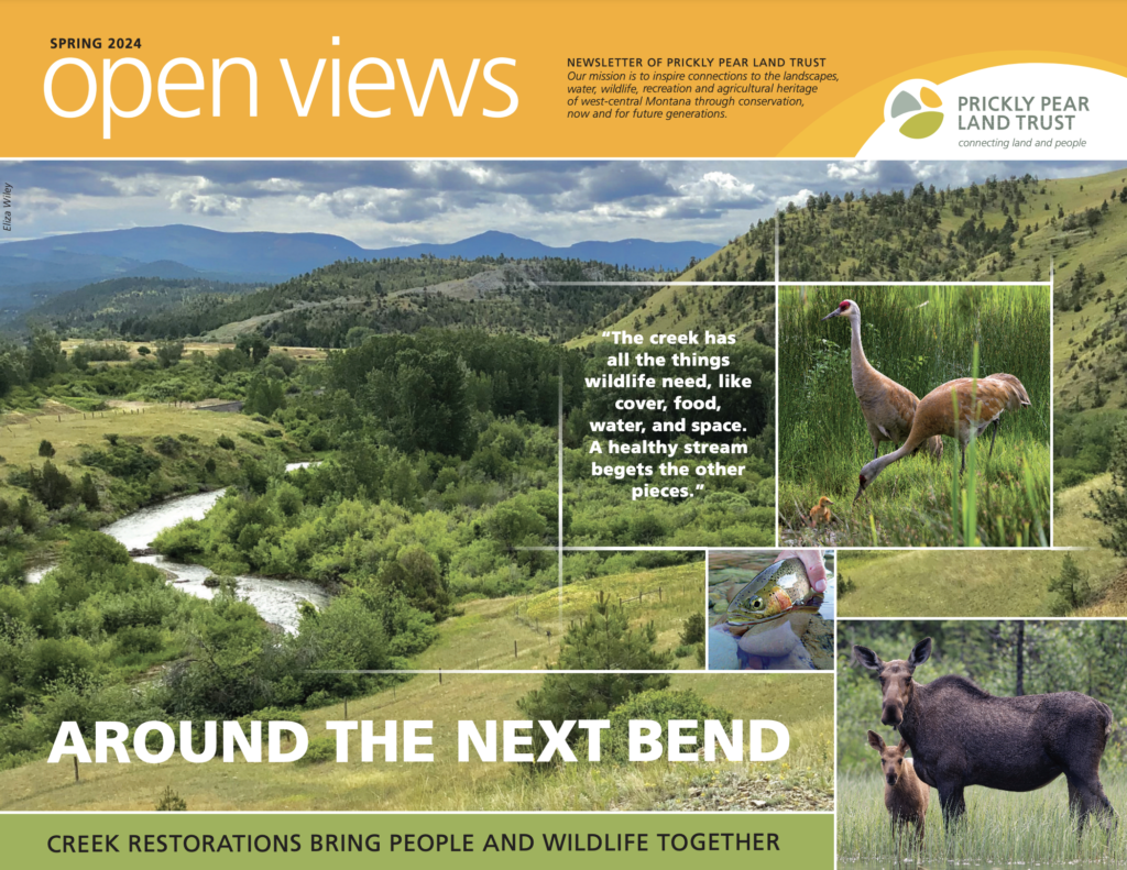 Open views newsletter